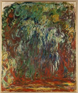 Trauerweide, Giverny