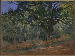 Die Bodmer-Eiche, Wald von Fontainebleau, 1865 von Claude Monet