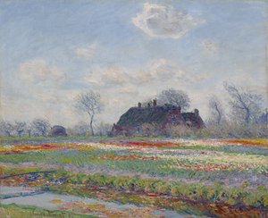 Tulpenfelder in Sassenheim