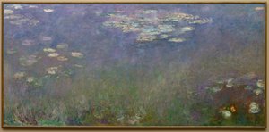 Seerosen Agapanthus, ca. 1915-26