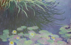 Seerosen mit Spiegelungen von hohem Gras, 1914-1917 von Claude Monet