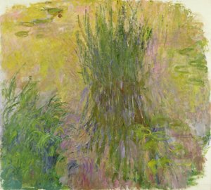 Seerosen von Claude Monet