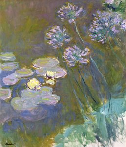 Seerosen und Agapanthus