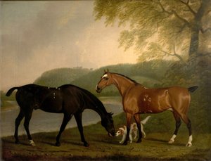 Pferde und Hund in einer Landschaft, ca. 1830 von Clifton Tomson