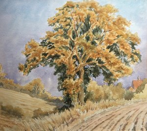 Erntesonnenuntergang, North Denford