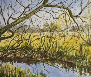 Wasserwiesen, Kintbury, früher Mai-Nachmittag