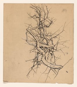 Baumstudie von Coba Steenhoff