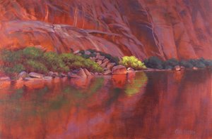 Roter Canyon Reflexionen