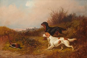 Retriever bei der Arbeit
