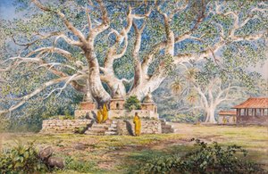 Heiliger Bo-Baum am Begräbnisort der Königinnen von Kandy von Constance Frederica Gordon Cumming
