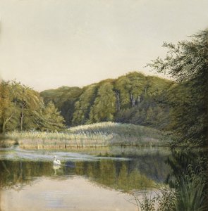 Schwäne auf dem Paddington-Teich, 1860er von Constance Phillott