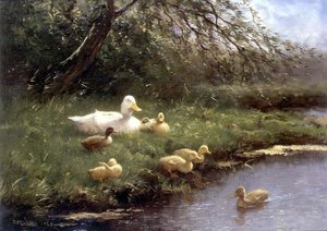 Eine Entenfamilie an einem Fluss
