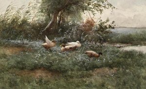 Enten an einem Teich