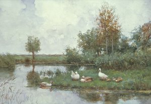Enten in einer Flusslandschaft
