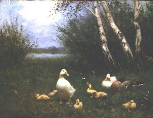 Enten mit Entenküken