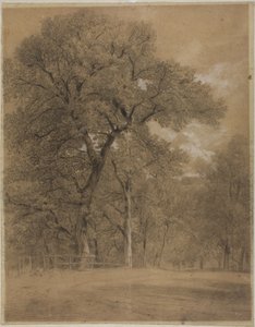 Waldrand