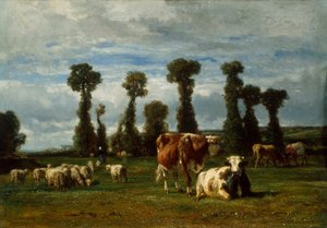 Weide in der Normandie