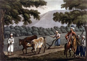 Landwirtschaft in Syrien, graviert von Joseph Constantine Stadler (fl.1780-1812) veröffentlicht von J. White von Cooper (after) Willyams