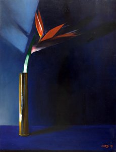 Dramatischer blauer Paradiesvogel