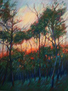 Wald Sonnenuntergangsglanz von Corné Akkers