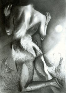 Mondschein-Dachs-Transformation von Corné Akkers