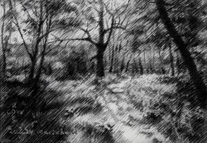 Beschatteter Waldweg von Corné Akkers