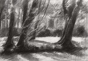 Ruhiger Waldweg
