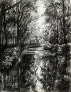 Verschlungener Waldweg von Corné Akkers