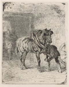 Pferd bekommt Hufeisen in einer Schmiede von Cornelis Albertus Johannes Schermer