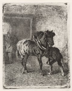 Pferd bekommt Hufeisen in einer Schmiede von Cornelis Albertus Johannes Schermer