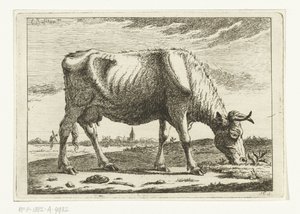 Landschaft mit grasender Kuh von Cornelis  Bisschop