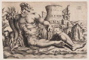 Der Fluss Nil von Cornelis Bos