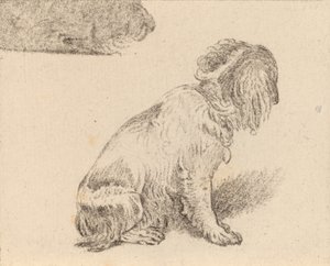Sitzender Hund, 1777 von Cornelis Brouwer