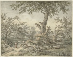 Waldlandschaft von Cornelis Buys