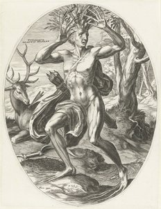 Kyparissos von Cornelis Cort