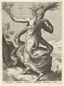 Daphne