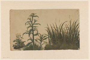Distel und Schilf von Cornelis Johannes de Vogel