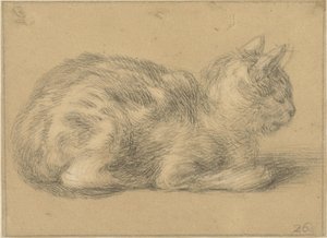 Sitzende Katze, nach rechts