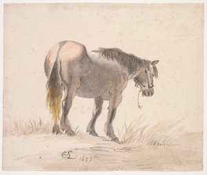 Pferd auf einem Hügel stehend von Cornelis Saftleven