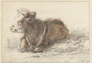 Liegendes Kalb, nach links