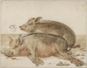 Zwei Schweine von Cornelis Saftleven