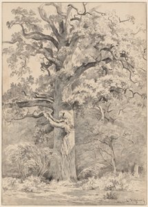 Eine riesige Eiche am Waldrand von Cornelis Steffelaar