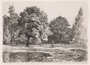 Landschaft mit Bäumen, See und einer Frau von Cornelis Steffelaar