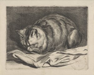Kleine Katze von Cornelis Visscher (II)