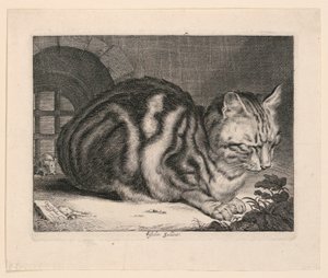 Die große Katze von Cornelis Visscher