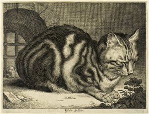 Die große Katze von Cornelis Visscher