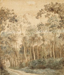 Bewaldete Landschaft von Hendrick Cornelisz. Vroom