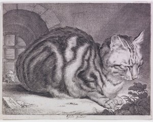 Die große Katze von Cornelis de Visscher