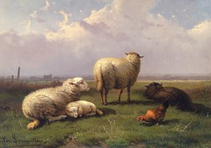 Schafe, die auf einer Weide dösen von Cornelis van Leemputten