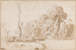 Eine bewaldete Landschaft